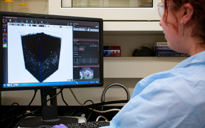 A researcher works at a computer with the screen showing a black scaffold structure on a white background.